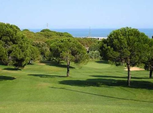 Pitch and Putt Teià pitch putt teia camp