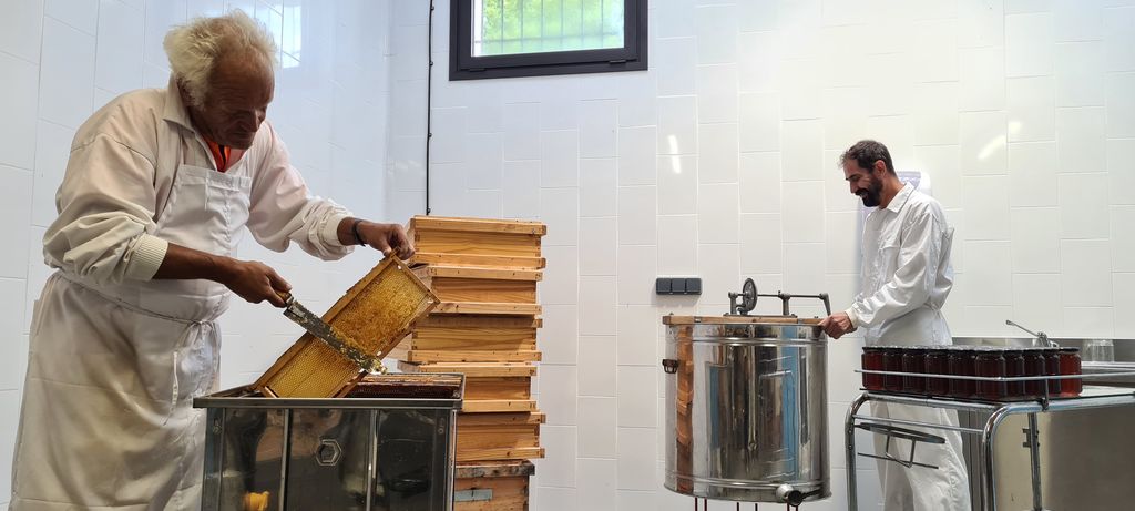 Can Parcala beekeeping activities can parcala 2