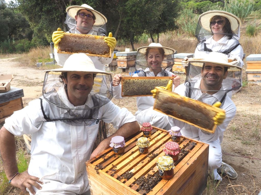 Aula apícola de Can Parcala equip abellaires can parcala