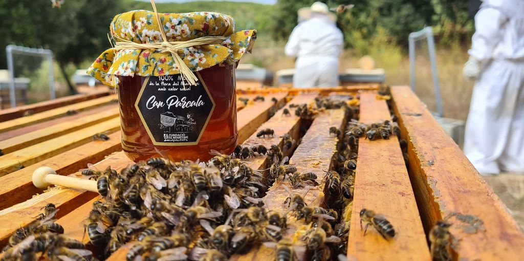 Can Parcala beekeeping activities mel can parcala