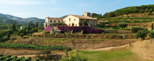 Sala Pansa Blanca bouquet d alella 3 2