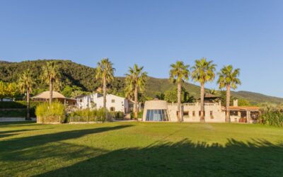 Per què les millors decisions d’empresa es prenen lluny de l’oficina (i per què el Maresme ho entén)