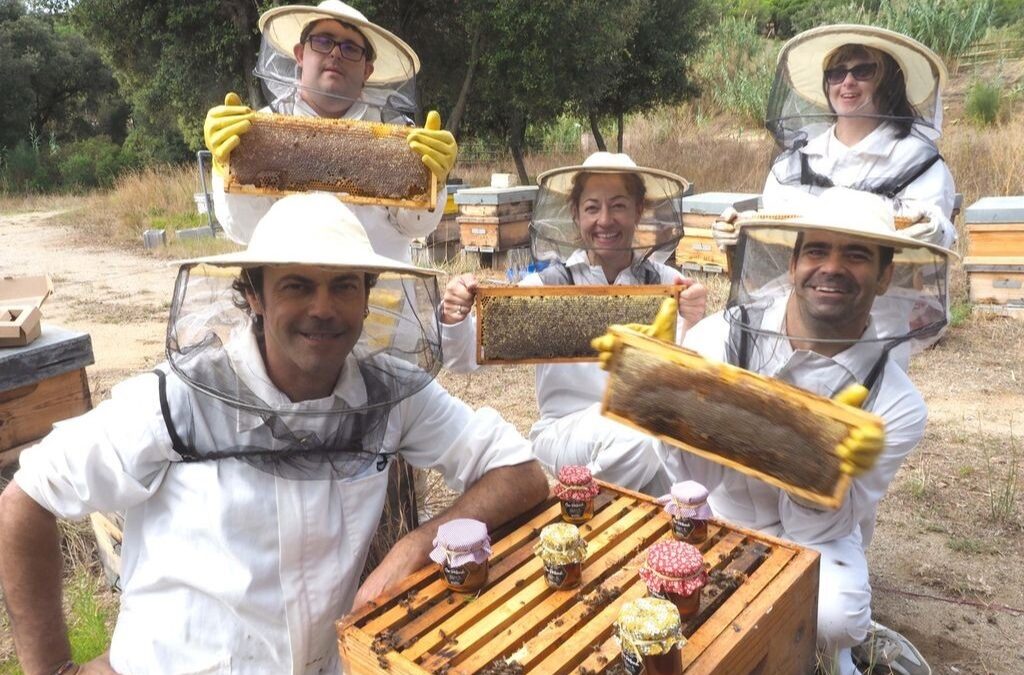 Turisme regeneratiu al Maresme: esdeveniments MICE amb impacte positiu