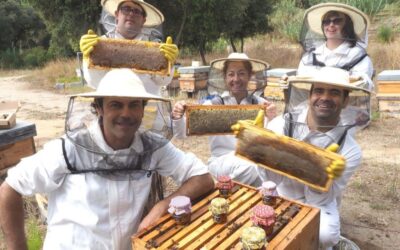 Turismo regenerativo en el Maresme: Cómo organizar eventos MICE con impacto positivo.